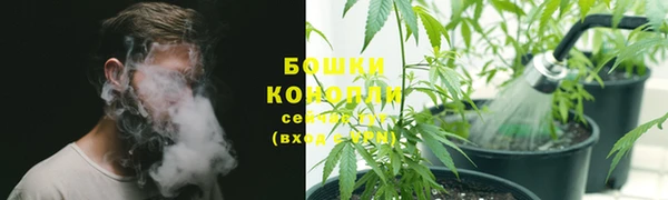 каннабис Аркадак