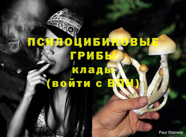 jwh Алзамай