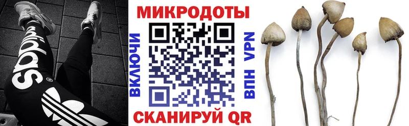 ОМГ ОМГ зеркало  Волгодонск  Псилоцибиновые грибы Magic Shrooms 