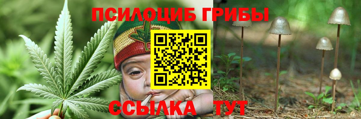 Галлюциногенные грибы Cubensis Волгодонск